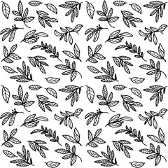 Vector illustrated set of hand drawn patterened leaves in black and white.
