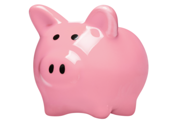 Close-up of pink piggy bank cut out