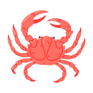 Crab as Crustacean Seafood and Fresh Sea Product Vector Illustration