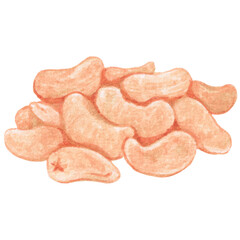 Nuts watercolor
