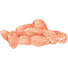 Nuts watercolor