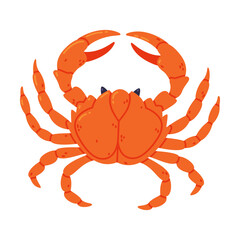 Crab as Crustacean Seafood and Fresh Sea Product Vector Illustration