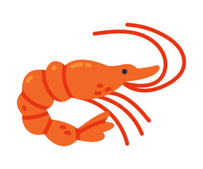 Shrimp as Seafood and Fresh Sea Product Vector Illustration