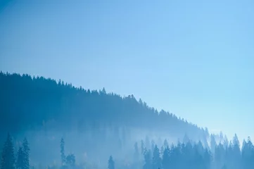 Foto auf Acrylglas Wald im Nebel Mountain range with visible silhouettes through the morning blue fog.