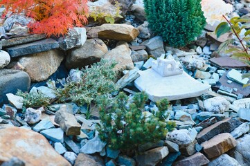 Coniferous rockery in landscaping. Different types of pine and spruce with different color needles
