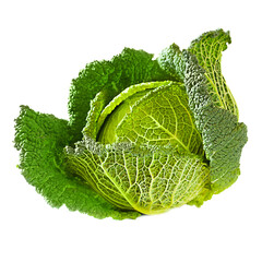 Whole head of savoy cabbage over white background
