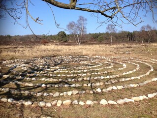 maze in the middle of the field