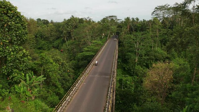road bridge over the forest in Asia