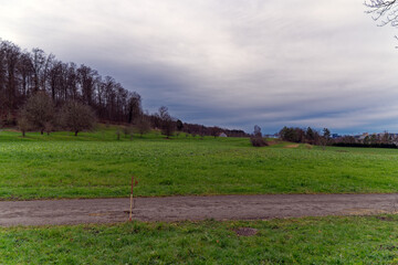 Fototapeta premium Orchard with apple trees, meadow and forest in the background at Swiss City of Zürich district Schwamendingen on a cloudy winter day. Photo taken January 14th, 2023, Zurich, Switzerland.
