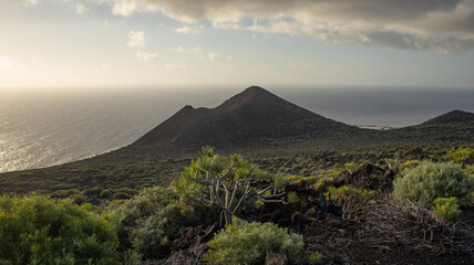Fototapeta na wymiar Un paisaje volcanico tipico de las Islas Canarias. en la isla de La Palma.