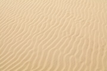 Fototapeta na wymiar Desert sand texture - wind pattern