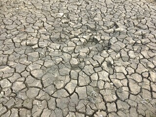 dry cracked earth