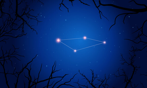 Illustration  of Fornax constellation. Bright constellation in open space, blue sky. Starry sky behind tree silhouette