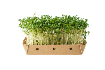 Watercress salad, cress salad, microgreens, small green leaves and stems in paper box isolated