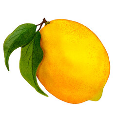 Colorful whole yellow lemon with green leaf.