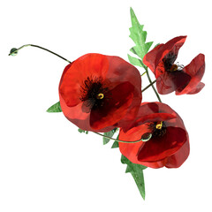 wild field grass, top view, isolated on a transparent background, 3D illustration, cg render
