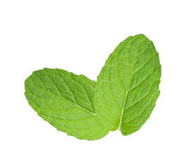 fresh mint leaves isolated on transparent.  top view.