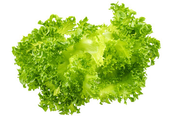 Fresh organic green lettuce isolated on transparent background, PNG file