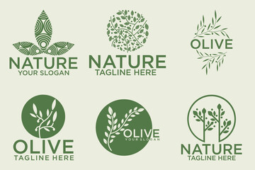 olive branch logo design with 6 options