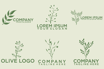 olive branch logo design with 6 options