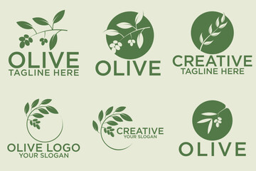 Fototapeta premium olive branch logo design with 6 options