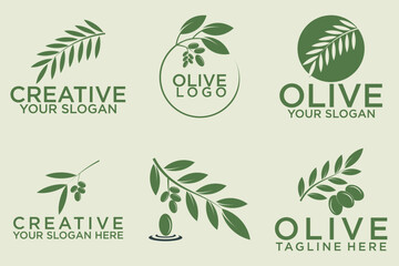 olive branch logo design with 6 options