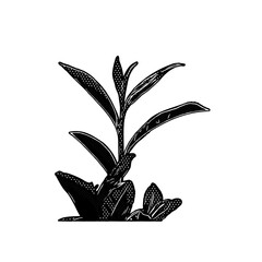 silhouettes of plant leaves for background and border ornaments