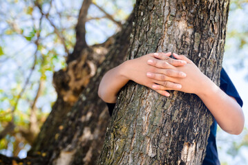 A boy stands behind the old tree in the park and gives a hug with all fingers join on the trunk,...
