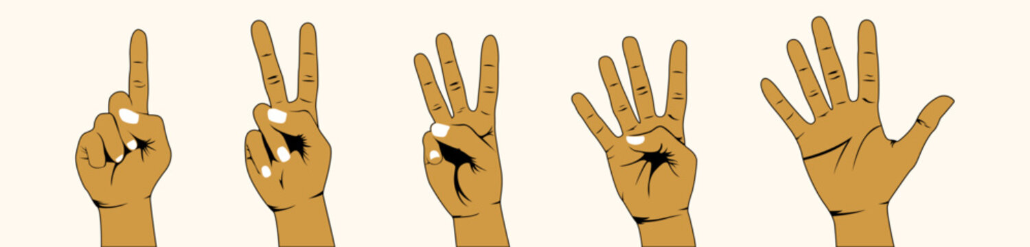 counting hands vector illustrations. counting 1-5 hand vector. Counting fingers. Hand gestures cartoon illustrations. communication language, pose and gesturing.
