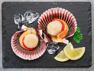 Opened fresh scallops on natural stone black slate plate with lemon slices. Flat lay.