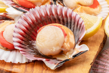 Group of fresh opened scallop with scallop roe or coral close up.