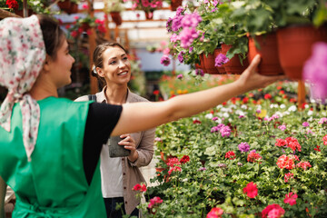 Woman Shopping In A Garden Center