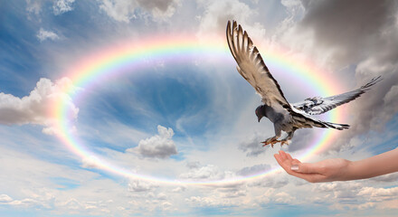 Freedom and peace concept - The woman hands free the pigeon into the sky Amazing rainbow in the...