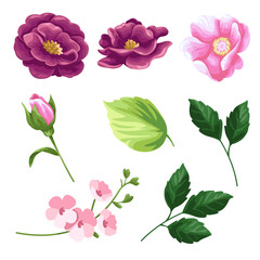 Big Set watercolor elements - rose, tulip; leaves. collection of vector elements. illustration isolated on white background. Botanic.
