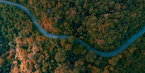 Top view road in beautiful autumn forest at sunset, trees with red and orange leaves , Beautiful landscape view from flying drone in Nature