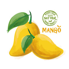 Fresh mango with slices and leaves Vector illustration 