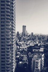 Tokyo skyline in black and white showing skyscrapers and modern Japanese urban architecture