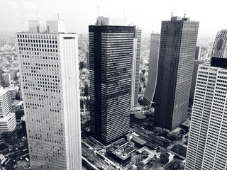 Tokyo skyline in black and white showing skyscrapers and modern Japanese urban architecture