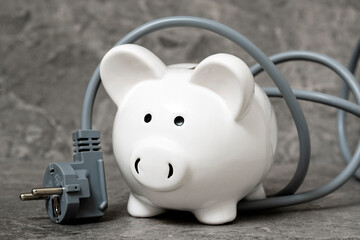 Piggy bank with power plug