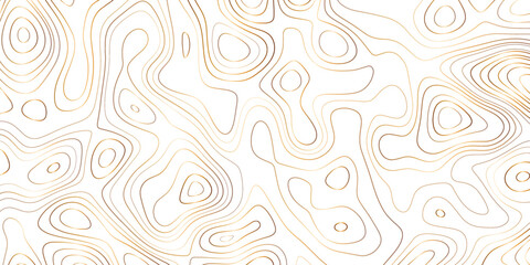 Luxury gold abstract topographic map background with golden lines texture, wallpaper design for fabric , packaging , web, geographic grid map vector illustration.