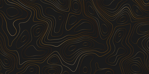 Topographic map background. Actual topography map. Futuristic seamless design, surprising tileable isolines pattern. Vector illustration.