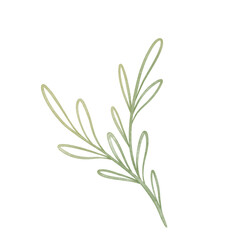 Watercolor elegant branch. Green Outline leaves for wedding, holidays, invitation, greeting card decoration