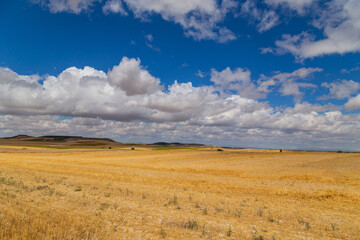 Obraz premium view of a crop field in Spain