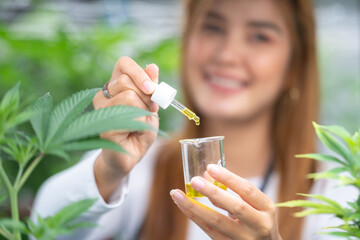 scientist checking hemp plants in a weed greenhouse. Concept of herbal alternative medicine, cbd oil, pharmaceptical industry - obrazy, fototapety, plakaty