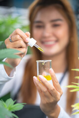 scientist checking hemp plants in a weed greenhouse. Concept of herbal alternative medicine, cbd oil, pharmaceptical industry