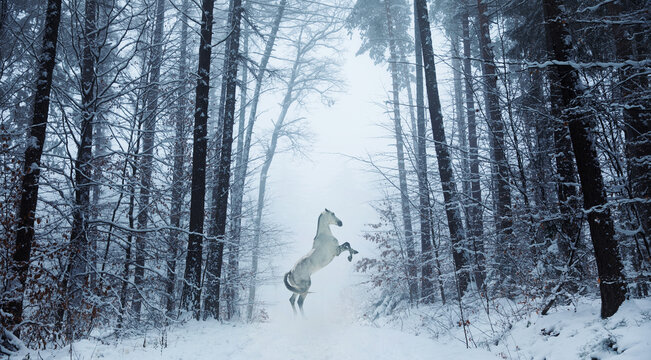 siwy magiczny koń w zimowej scenerii staje dęba, magic horse
