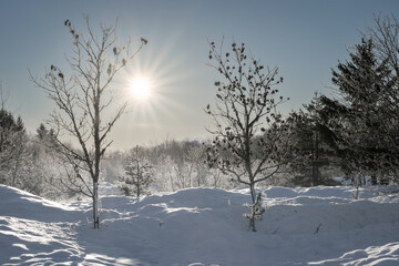 Winter landscape in Estonia on a bright sunny day.