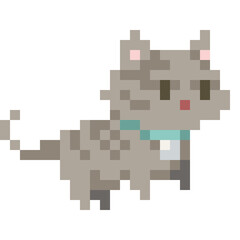 Pixel art asset 8 bit Cute Cat Kitten with collar domestic pet isolated stock vector illustration transparent background