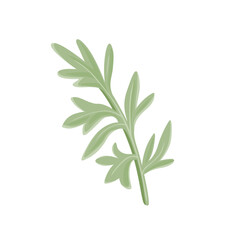 Branch of wormwood isolated on a white background. Vector cartoon illustration of medical grass. Sagebrush icon.