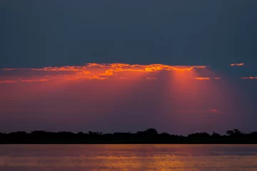 Foto op Aluminium Colorful african sunset over Zambesi river © Anna